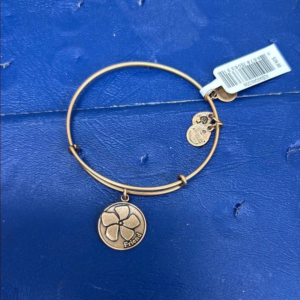 Alex ani Bangle Bracelet Friend Charm